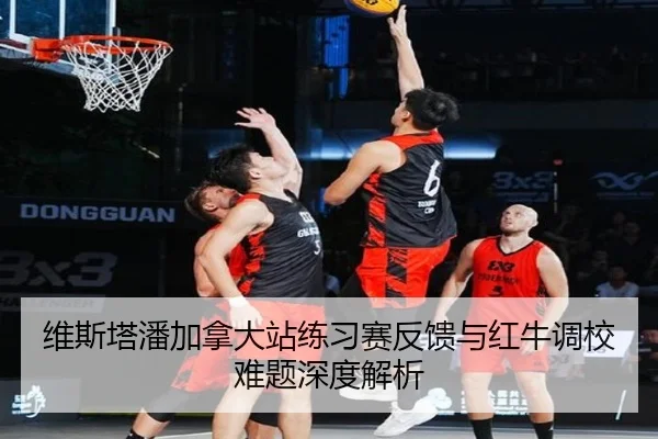 维斯塔潘加拿大站练习赛反馈与红牛调校难题深度解析 - leyu